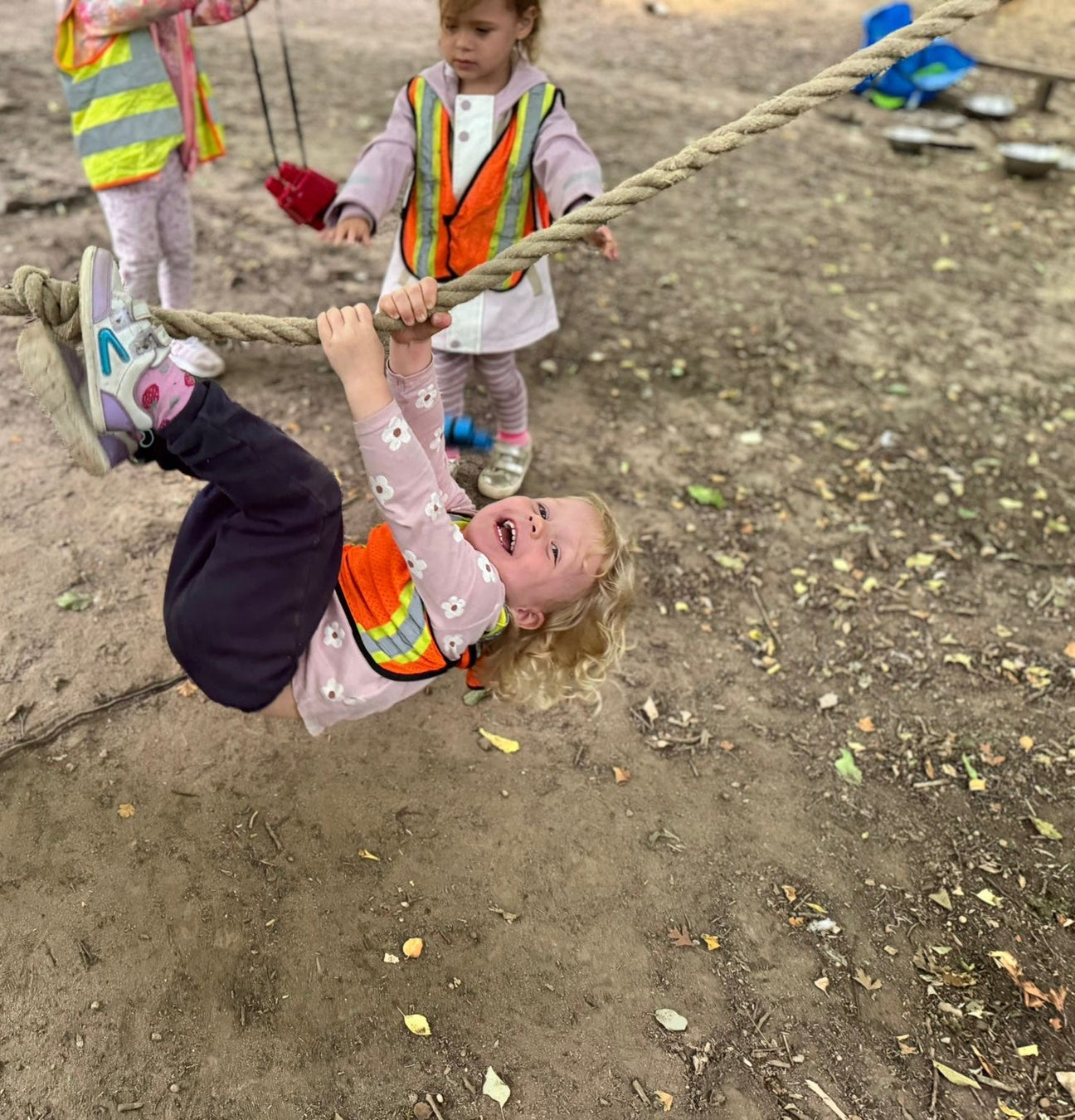 More than a nursery: Who are we?